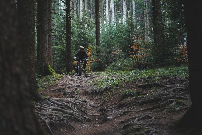 Urban Trails