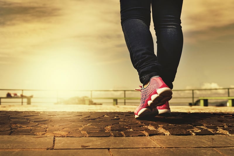 Walking Workshops