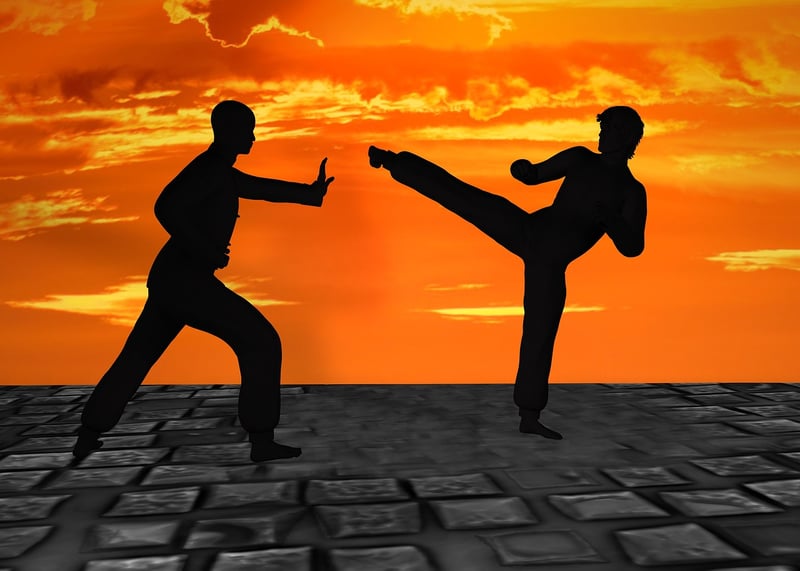 Chinese Martial Arts